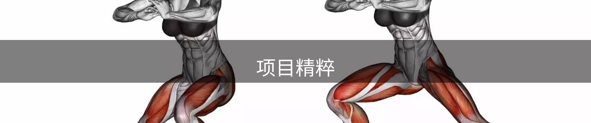项目精粹